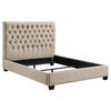 Chloe Upholstered Panel Bed Queen Oatmeal