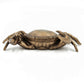 Decorative Crab Box