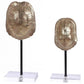 Eris Gold Turtle Shell (choose size)