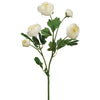 Ranunculus Spray 20"