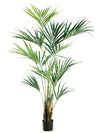 Kentia Palm Tree - 93"