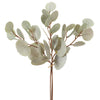 Eucalyptus Leaf Bundle