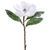 Snowed Magnolia Spray