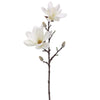 Magnolia Spray 25"