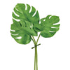 Split Philodendron Leaf Bundle