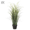 UV Protected Tall Grass in Pot Green