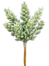 Sedum Pick