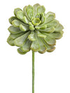 Real Touch Baby Aeonium Pick