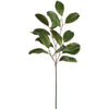 32" Magnolia Leaf Spray