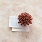 Stoneware Coral with Crackle Glaze