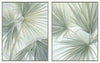 Palms Framed Canvases